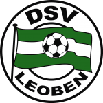 DSV Logo 2